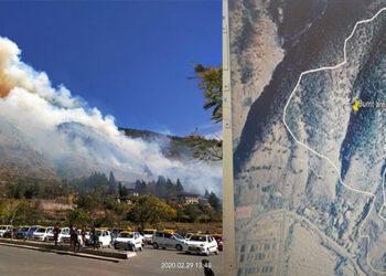 More than 40 acres of forest lost to a fire, Wangduephodrang