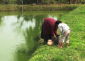 Need for a motorable bridge in Kakani village, Samdrup Jongkhar