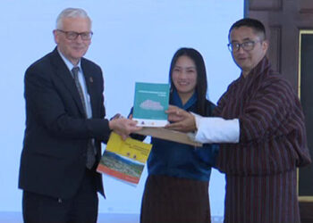 Reaping the benefits of increasing working-age persons in population