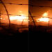 A 29-year-old woman dies in a house fire, Motithang- Thimphu