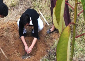 Tsirang plants fruit saplings to commemorate the Birthday of His Majesty