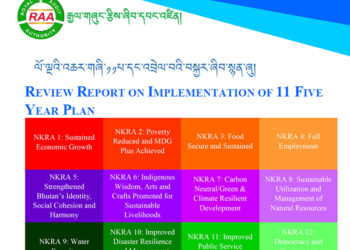 RAA reveals GNHC identified 16 NKRIs without a proper study in 11th five-year plan