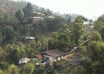 Rabies outbreak in Dewathang contained