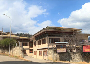 DHI plans to propose over Nu 1.5bn for use to the govt during the COVID-19 emergency