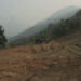 Turning slopes into arable fields, Goshing in Zhemgang