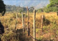 Solar charged electric fences to the rescue, Durungri village in Pema Gatshel