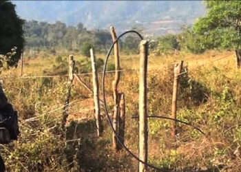 Solar charged electric fences to the rescue, Durungri village in Pema Gatshel