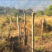 Solar charged electric fences to the rescue, Durungri village in Pema Gatshel