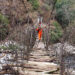 Reviving the ancient East-West trails