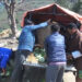 Farmers Group contributing vegetable to help the govt. feed people in quarantine