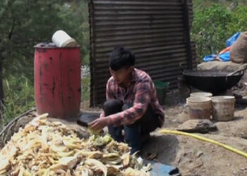 Self-employed Thinley Dorji finds Dairy business rewarding- Lhuentse