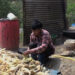 Self-employed Thinley Dorji finds Dairy business rewarding- Lhuentse