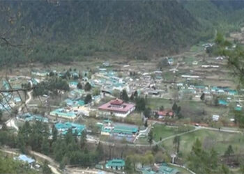 Startups struggle to stay afloat amid COVID-19 crisis