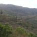 No plans to construct Lhuentse-Trashi Yangtse secondary national highway