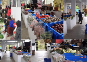 OCP penalises a vendor for charging  an exorbitant price for local green chilli, Lhuentse
