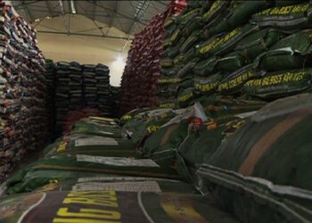 Government working towards stocking up six months food supplies by mid May