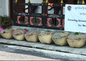 Imported chillies seized in Gelegphu