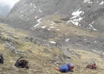 Man dies during cordyceps collection