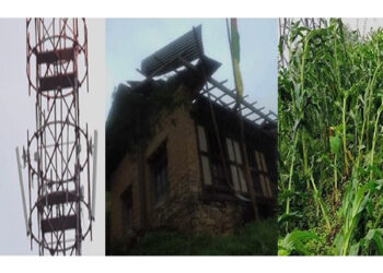 Mild impact of cyclone Amphan in the country