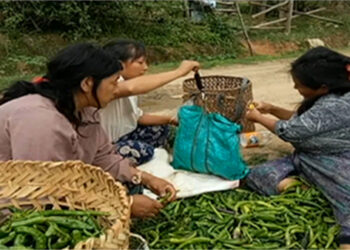 Chilli farmers of Goling Village in Zhemgang elated over a successful season