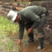 A farmer in Gyaltsa is trying paddy cultivation or the very first time in his village, Bumthang