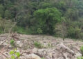 Land development works in Pema Gatshel to boost agriculture