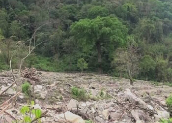 Land development works in Pema Gatshel to boost agriculture