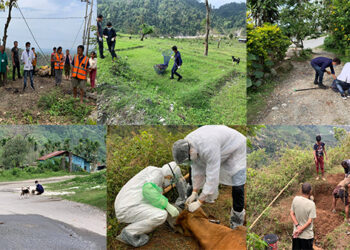Rabies outbreak in Phuentshogling & Samphelling Gewog ,Chhukha