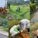 Rabies outbreak in Phuentshogling & Samphelling Gewog ,Chhukha