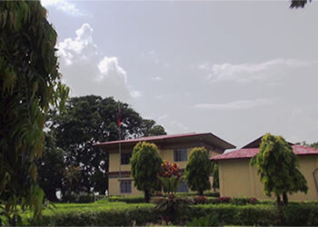 30 men arrested in Samtse for breaching border security