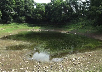 Imported chillies seized in Gelegphu