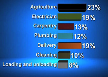 Agriculture, the most popular choice of alternative income for sectors affected by COVID-19