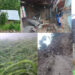 Disaster reports in Tsirang from the impact of cyclone Amphan
