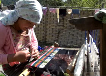 Yathra weavers in Bumthang run out of yarn, take up farming