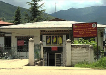 “Better Knowledge for Better Care”, International Day Against Drug Abuse and Illicit Trafficking