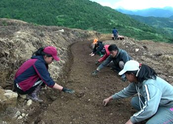 Phaithang Eco Agro Farm all set to revolutionise farming in Nubi Gewog,Trongsa