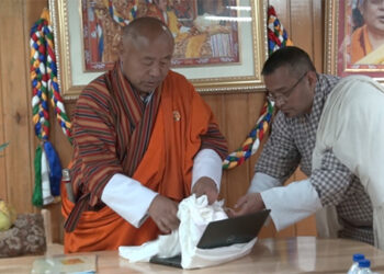 AMIS, real-time prices of agricultural products on your fingertips