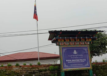 A 20-year-old man in custody for 18 different burglary cases, Dagana