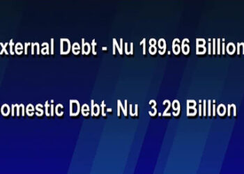 Bhutan’s total public debt increases by Nu.8.5B