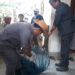 Around 500 dogs were vaccinated in Kanglung to prevent the spread of rabies