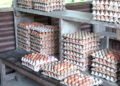 Egg price soars amid shortage in Gelegphu