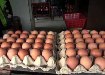 Egg prices continue to escalate in many parts of the country