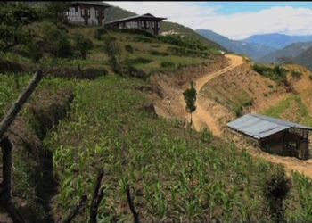 A farm road turns into one family’s nightmare, Rijoong in T/Yangtse
