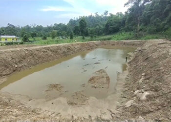 Commercial fish farming business looking promising- Samrang Gewog