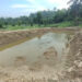 Commercial fish farming business looking promising- Samrang Gewog