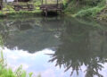 Lone fishery in Nanong Gewog doing well despite challenges