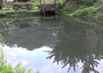 Lone fishery in Nanong Gewog doing well despite challenges