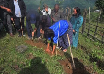 Napier grass- to prevent land degradation, Tsirang