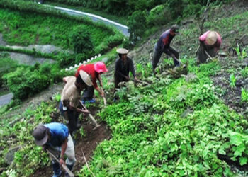 The pandemic gives room for renovating Wangchhu mineral spring- Wangdue Phodrang