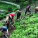 The pandemic gives room for renovating Wangchhu mineral spring- Wangdue Phodrang